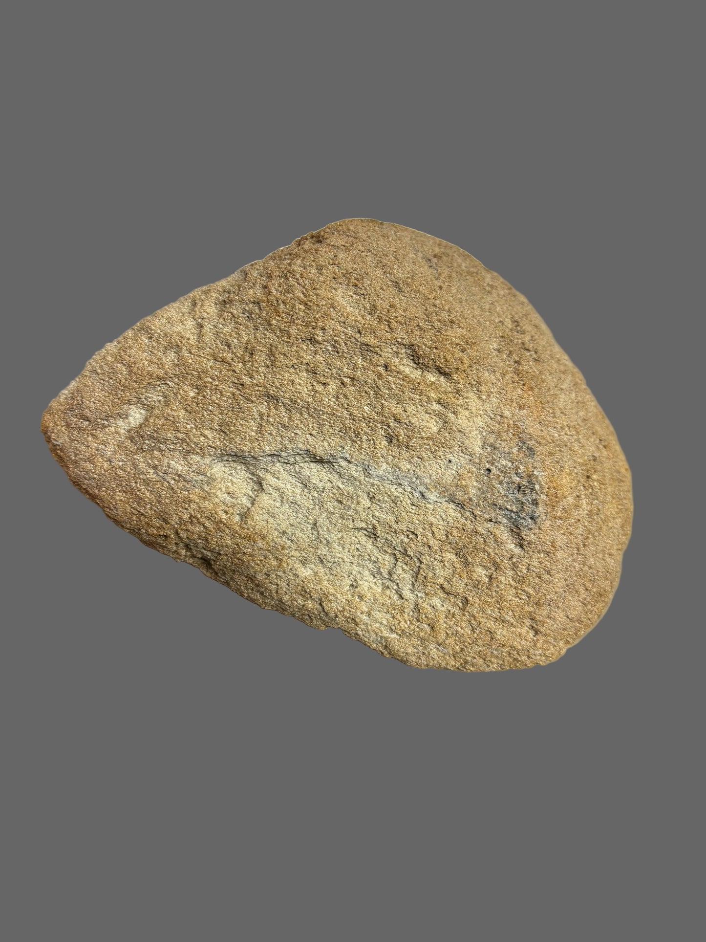 Pumice Stone